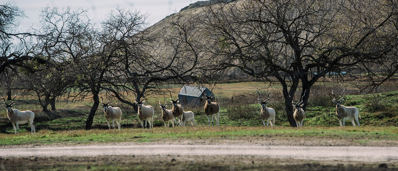 Practice Full-Funnel Marketing for Hunting Brands